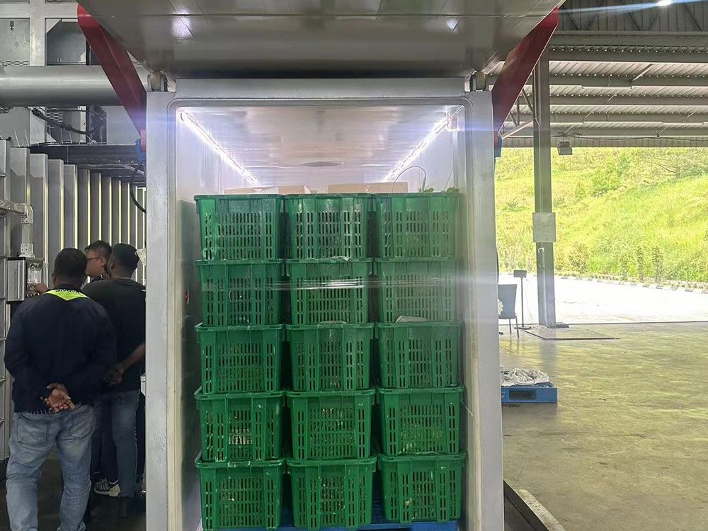 Ispitivanje vakuumskog hladnjaka sa 6 paleta