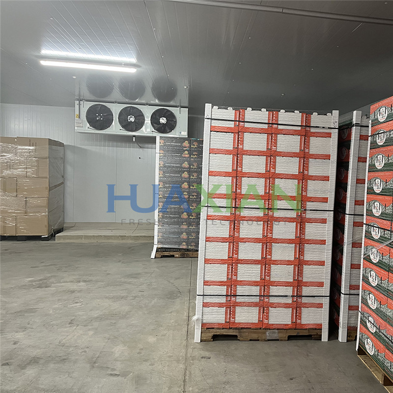 Ладна соба за складирање овошје01 (1)