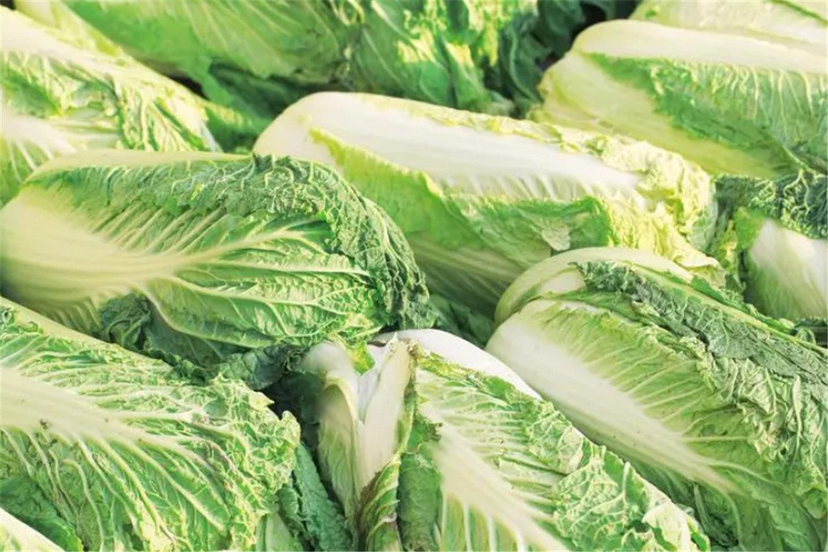 Forafkølingsmetoder for grøntsager-02 (6)