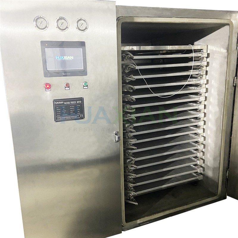 Fruits And Vegetables Vacuum Freeze Drying Machine Manufacturer