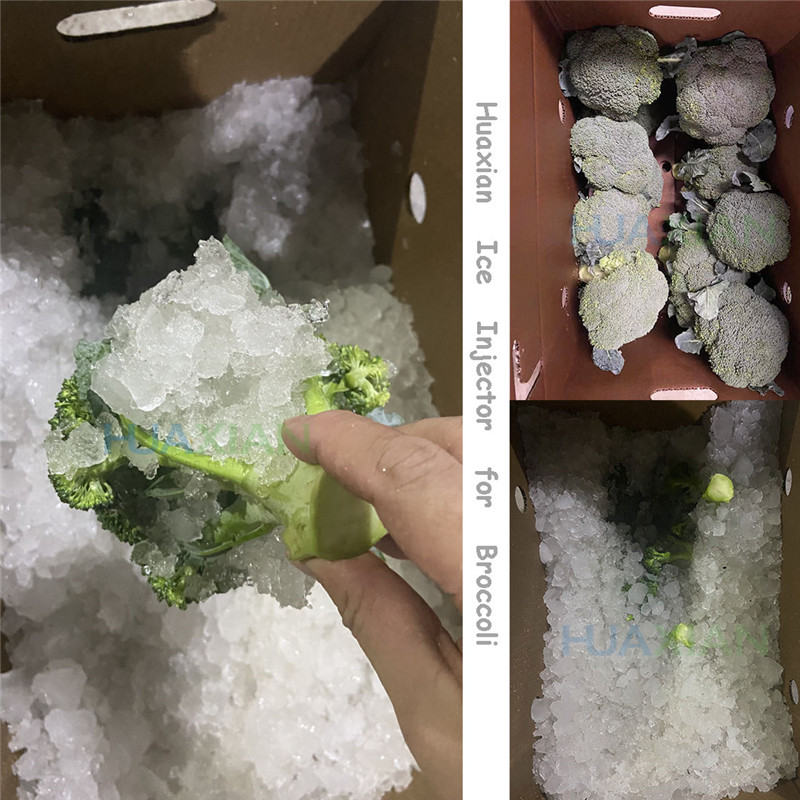 Broccoli Ice Injector01 (1)