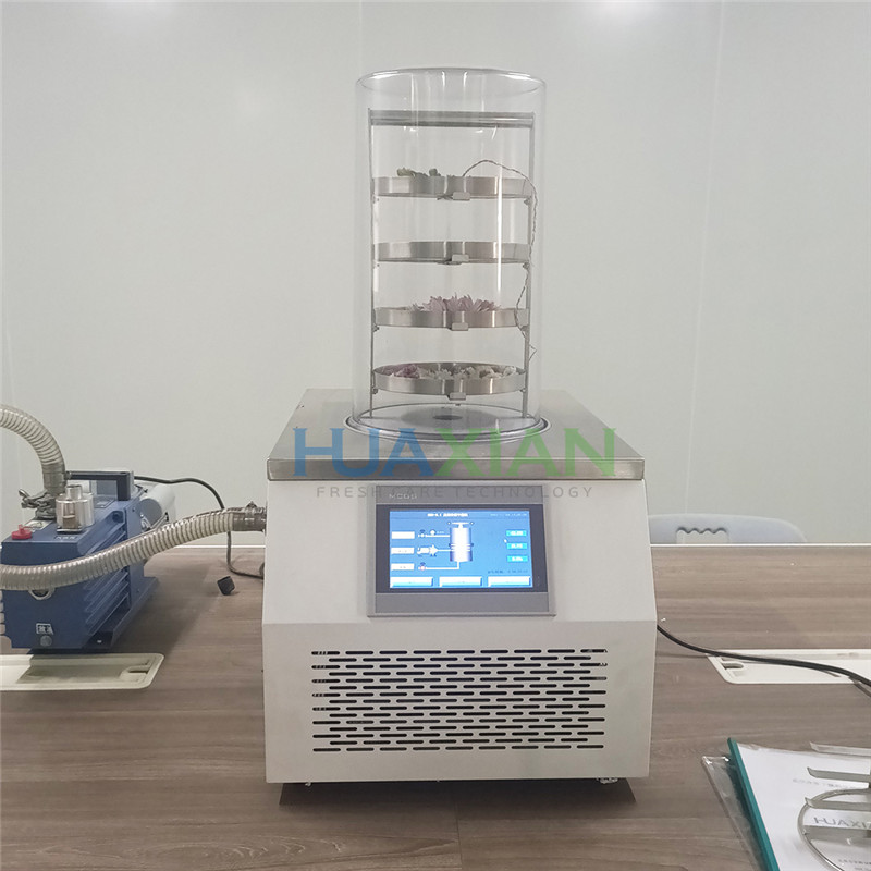 Home Use Vacuum Freeze Dryer02 (1)